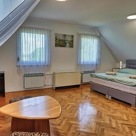 Vila Villa Vili *