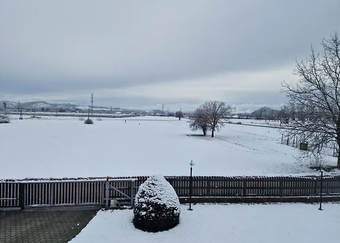 - Jacuzzi, Bbq & Ev Outlet